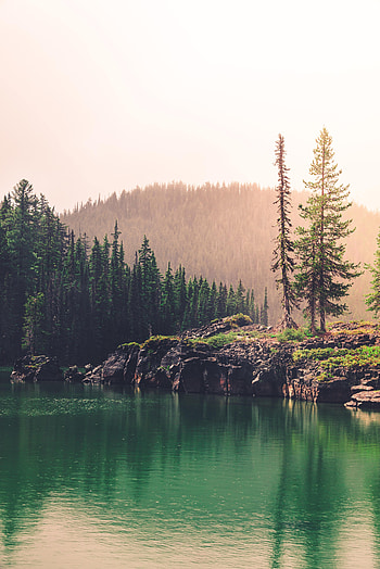 Nature, Rocks, Lake, Forest, Fir, Spruce, Hill HD phone wallpaper