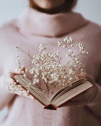 Flowers, Miscellanea, Miscellaneous, Branch, Book, Open HD phone wallpaper