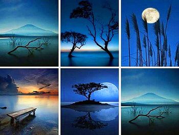 Night slendor, blue, moon, trees, sky, Night, water, beauty HD wallpaper