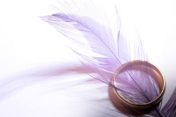 A delicate purple feather rests beautifully on a gold wedding ring, symbolizing elegance and romance. HD wallpaper