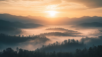 Sunrise Serenity: Misty Mountain Forest, landscape, mountain, forest, fog, sunrise HD wallpaper