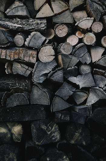 Miscellanea, Miscellaneous, Firewood, Woman, Timber, Woodpile HD phone wallpaper
