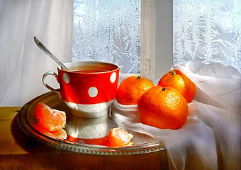 Winter - still life, winter, graphy, wonderful, snowflakes, snowflake, snow, trees, , sun, cold, beautiful, tree, nature, sky, lovely, splendor, ice HD wallpaper