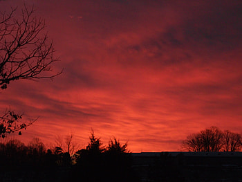 soft red sunrise, soft red, barn, red, clouds, trees, sun, sunrise HD wallpaper