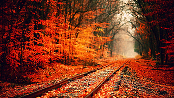 Hippie Weed Wide | Natures | Pinterest | Route 66 , and Hippie HD wallpaper