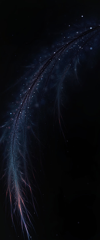 Abstract, Feather, Dark, Shine, Brilliance, Branch, Fractal, Pen HD phone wallpaper