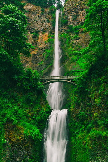 Captivating waterfall cascading through lush greenery and a scenic bridge. HD phone wallpaper