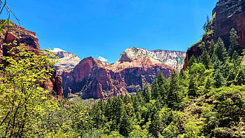 Zion National Park, Utah, trees, sky, mountains, rocks, usa HD wallpaper