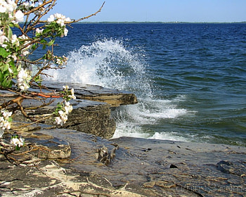 Blue Heaven, blue, waves, water, rocks, ocean HD wallpaper