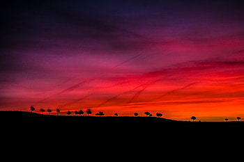 Early morning, sunrise, dark, red scenery, silhouette HD wallpaper