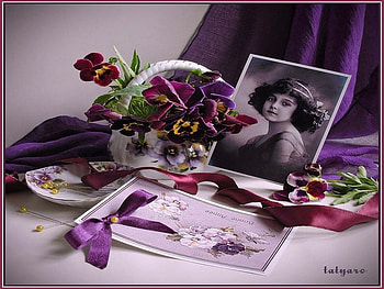 pansy, purple, , vintage HD wallpaper