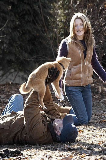 Andy, Parker and Hachi, Hachi: A Dog's Tale HD phone wallpaper