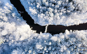 winter, aerial view, river, snowy forest, beautiful nature, forest, snowdrifts HD wallpaper
