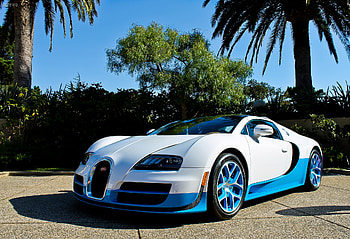 Bugatti, Palms, Cars, Veyron, Vitesse HD wallpaper