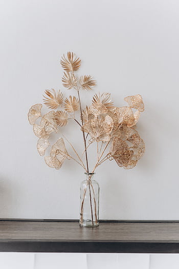 A minimalist dry flower arrangement in a glass vase, adding elegance to a contemporary indoor setting. HD phone wallpaper