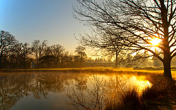 EVENING VIEW, trees, reflection, lake, sunset HD wallpaper