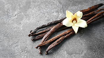 Vanilla properties and uses, Travels & tastings, Travels, Tastings HD wallpaper