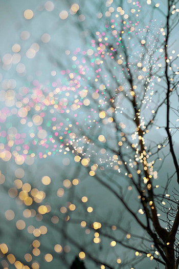 Fairy Lights, Aesthetic beauty, Magical illumination, Captivating visuals HD phone wallpaper