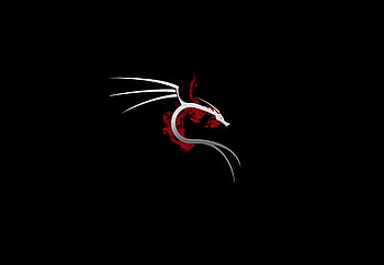 Kali Linux , kali-linux, ubuntu, linux, logo, computer HD wallpaper