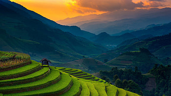 Banaue Rice Terraces, Majestic landscape, Cultural heritage, Philippine marvel HD wallpaper