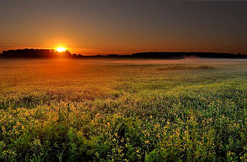 Nature, Sunset, Sun, Twilight, Field, Dusk, Haze, Disk HD wallpaper