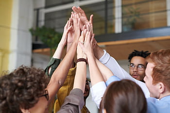 A group of diverse professionals celebrating teamwork with a high-five indoors. HD wallpaper