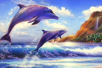 Blue Sky Beach, sea, beaches, paradise, creative pre-made, summer, love four seasons, couple, dolphins, nature, sky HD wallpaper