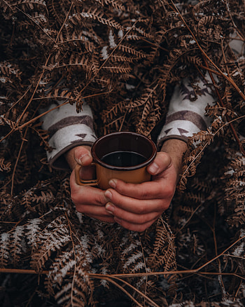 Snow, Miscellanea, Miscellaneous, Fern, Cup, Hands, Mug HD phone wallpaper