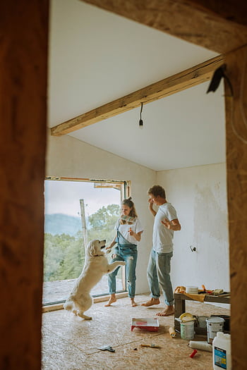 Happy couple and dog renovating their home, enjoying a playful moment indoors. HD phone wallpaper