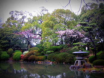 Japanese garden in a spring, Japanese, garden, nature, spring HD wallpaper