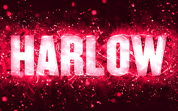 Happy Birtay Harlow, , pink neon lights, Harlow name, creative, Harlow Happy Birtay, Harlow Birtay, popular american female names, with Harlow name, Harlow HD wallpaper