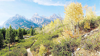 Grand Tetons National Park, usa, utah, clouds, landscape, trees, sky HD wallpaper