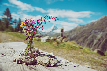 Nature, Flowers, Stones, Bouquet, Vase HD wallpaper