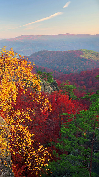 Arkansas fall scenery, Earth tones, Natural wonders, Autumn vibes HD phone wallpaper