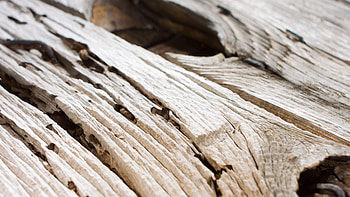 Wood design, Texture , Vintage look, Digital art HD wallpaper