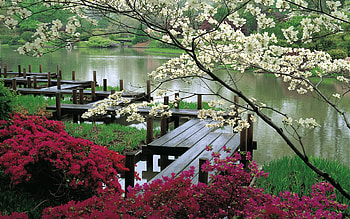 Landscape, Rivers HD wallpaper