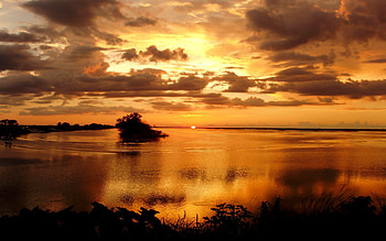 ENCHANTING EVENING, golden, plants, skies, bushes, clouds, calm, lake, sunset HD wallpaper