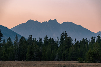 Nature, Trees, Sky, Mountains, Forest, Fir, Spruce HD wallpaper