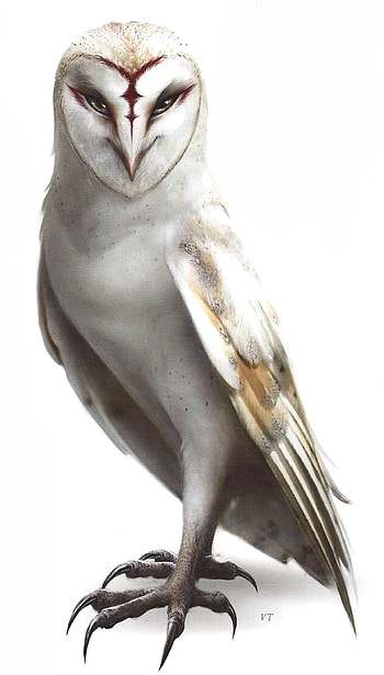 Legend of the Guardians: The Owls of Ga'Hoole, Enigmatic character, Fascinating movie, Majestic owls HD phone wallpaper