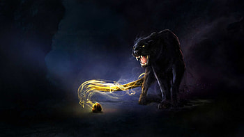 black jaguar blue eyes high quality for background on animal category similar with HD wallpaper