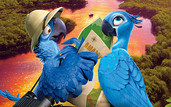 Blu And Jewel From Rio 2, From, 2, Jewel, Rio, Blu, And HD wallpaper