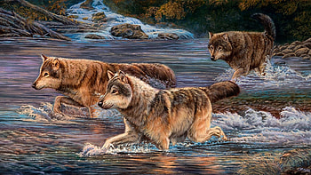 River crossing, artwork, painting, wolves, rocks, stream, wolfpack HD wallpaper