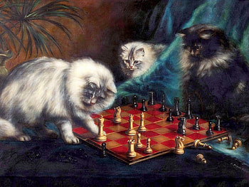 Kitten Playing Chess, cats, cute, paintings, kittens, love four seasons, playing, animals, draw and paint, chess, lovely HD wallpaper