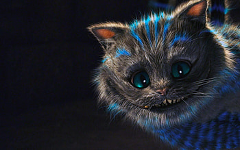 cheshire cat tumblr. HD wallpaper