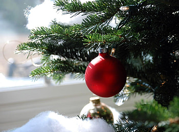 Holidays, Close-Up, Branch, Ball, Needles, Christmas Tree Toy HD wallpaper