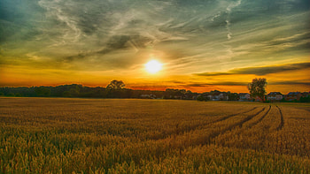 farm , Ultra resolution HD wallpaper