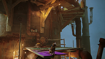 stray 25, video game, Stray HD wallpaper