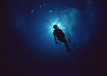 Online scuba diving , Great discounts, Diving scenes, Underwater beauty HD wallpaper