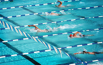 Olympic swimming , Top olympic, Swimmers backgrounds, Competitive sports HD wallpaper