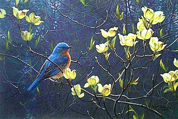 Blue birds n blooms, branch, bird, yellow, blooms, blue bird HD wallpaper
